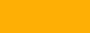 Mustard solid colour sample — RAL 1004