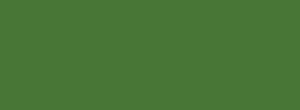 Light Green solid colour sample — RAL 6025